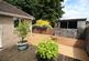 2 Barn Hill rear garden1.jpg
