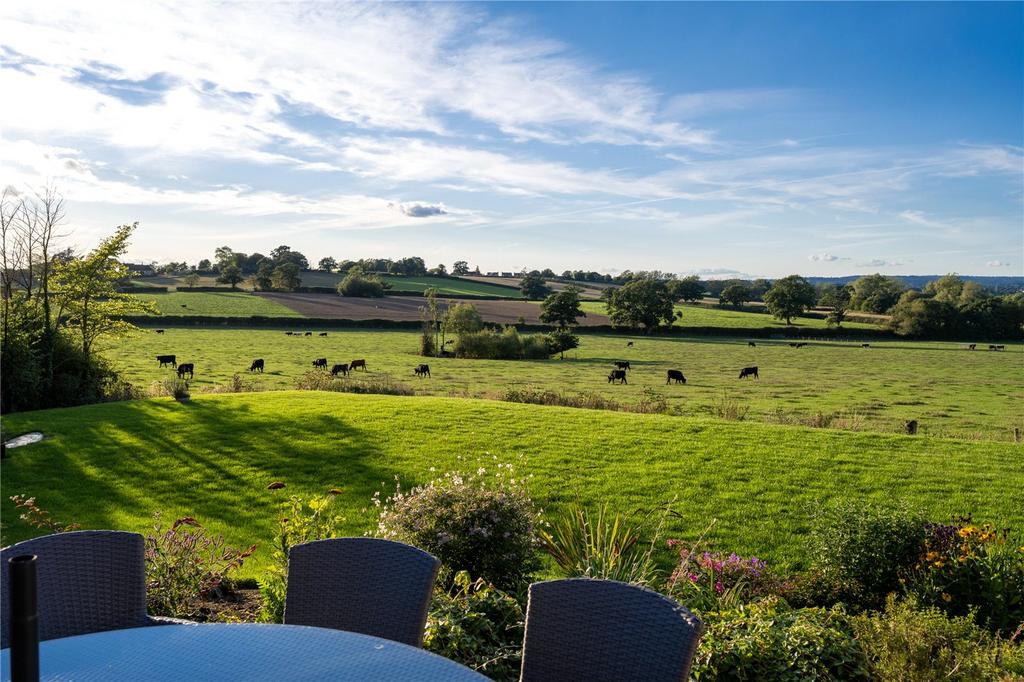Garden and View