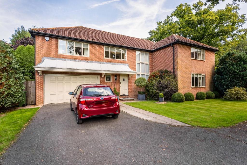 8 Silver Birches-30.jpg