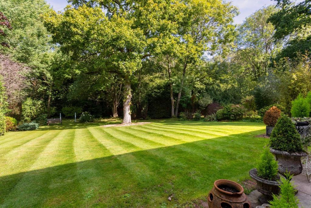 8 Silver Birches-26.jpg