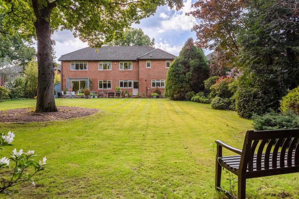 8 Silver Birches-29.jpg