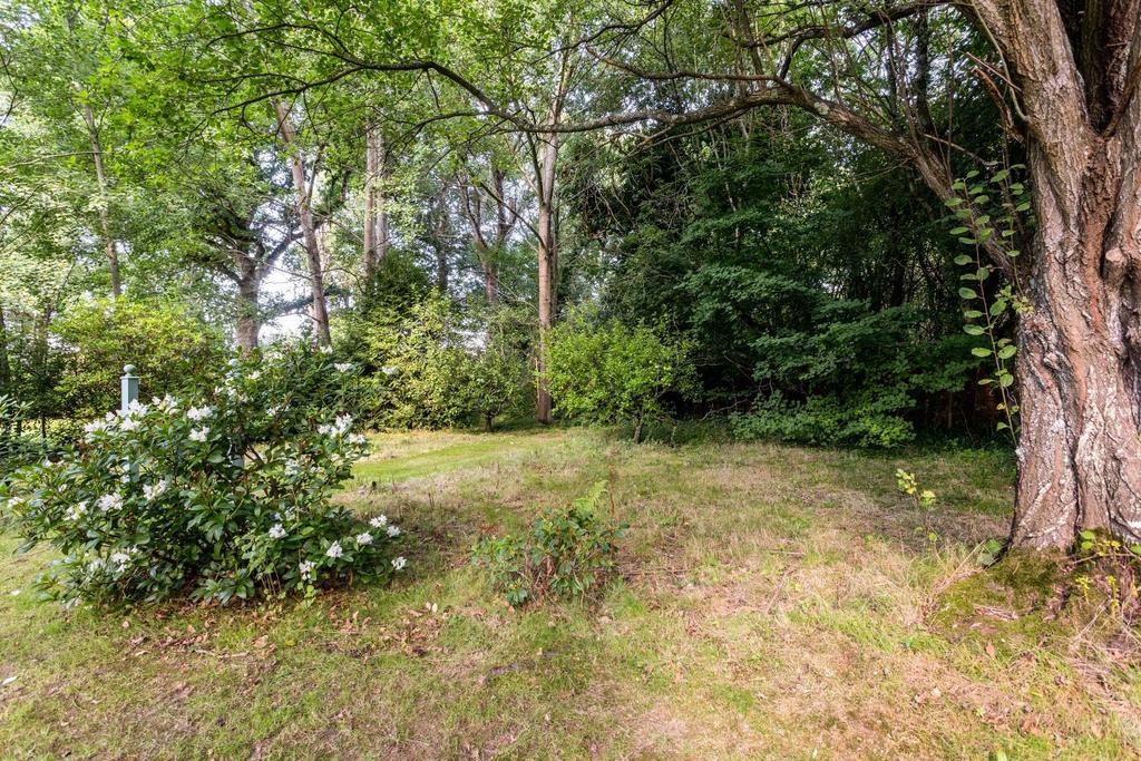 8 Silver Birches-28.jpg