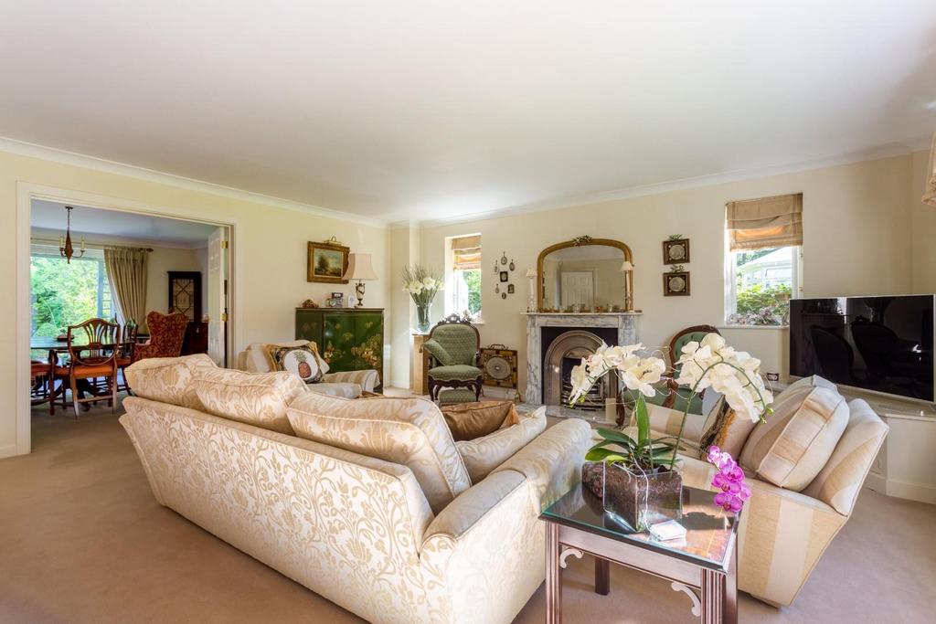 8 Silver Birches-3.jpg