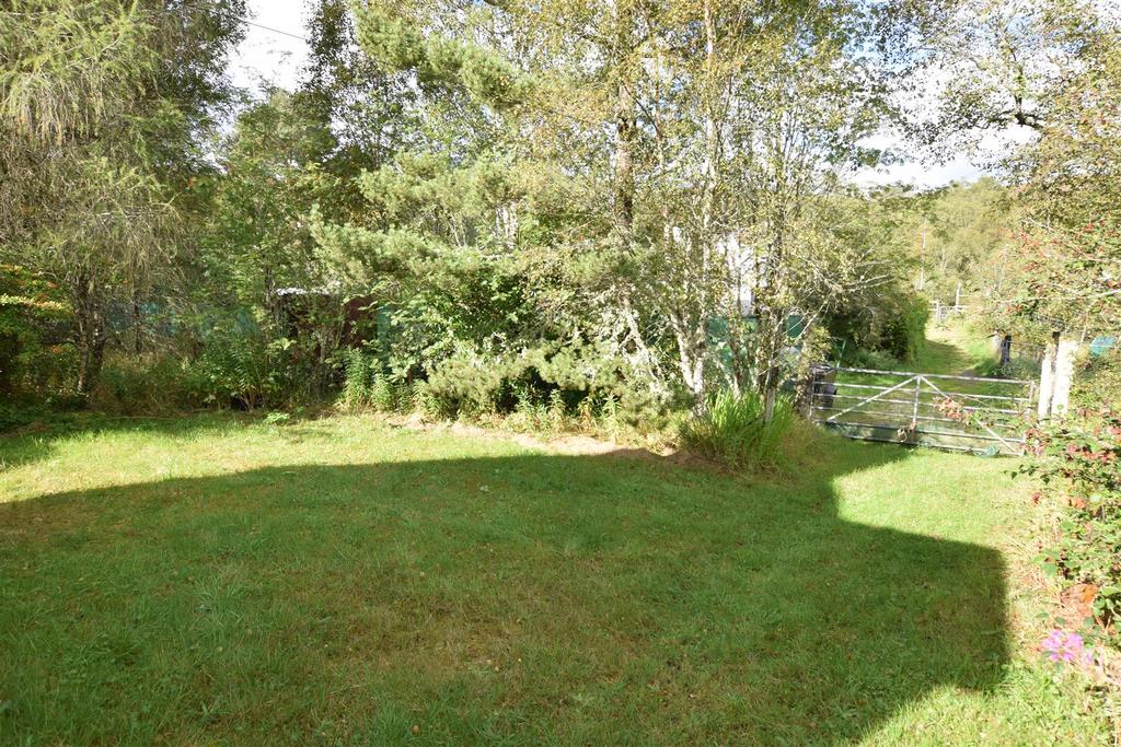 Front garden.jpg