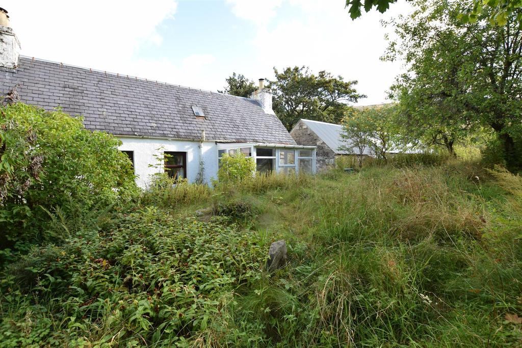Rear garden.jpg