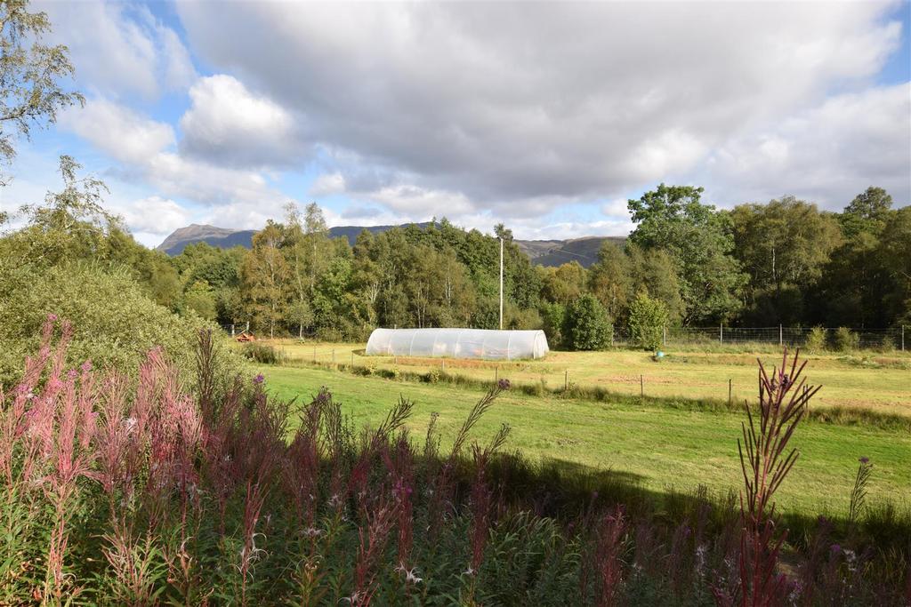 View.jpg