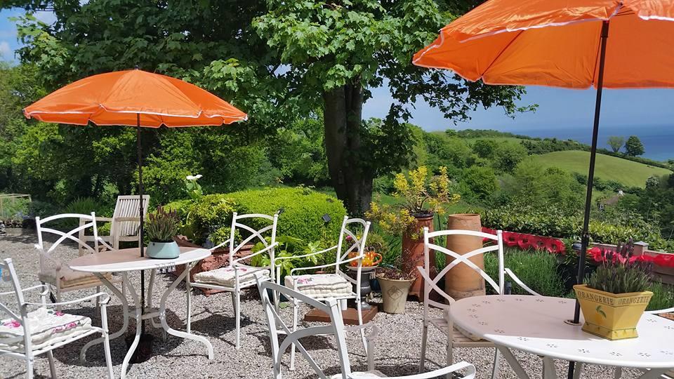Garden and view