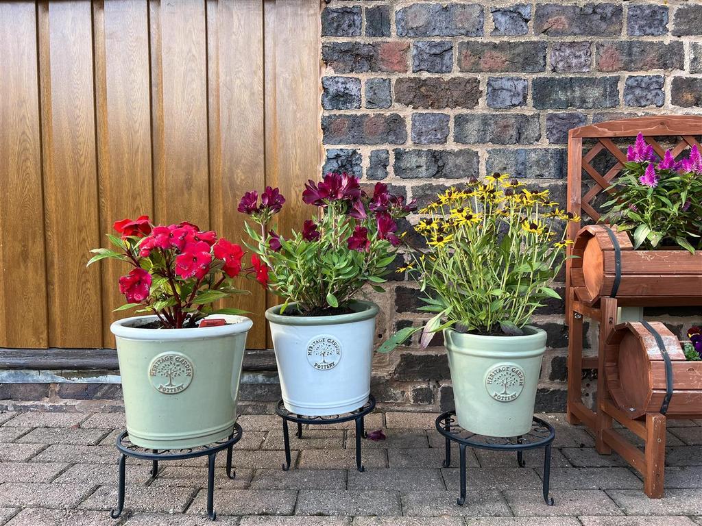 C5409875-297 A-47 C5-B7 F0-C3 AA590 AF24 A.jpeg