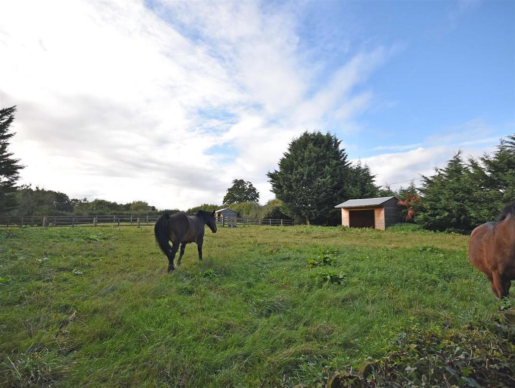 Kestrel Barn View.jpg