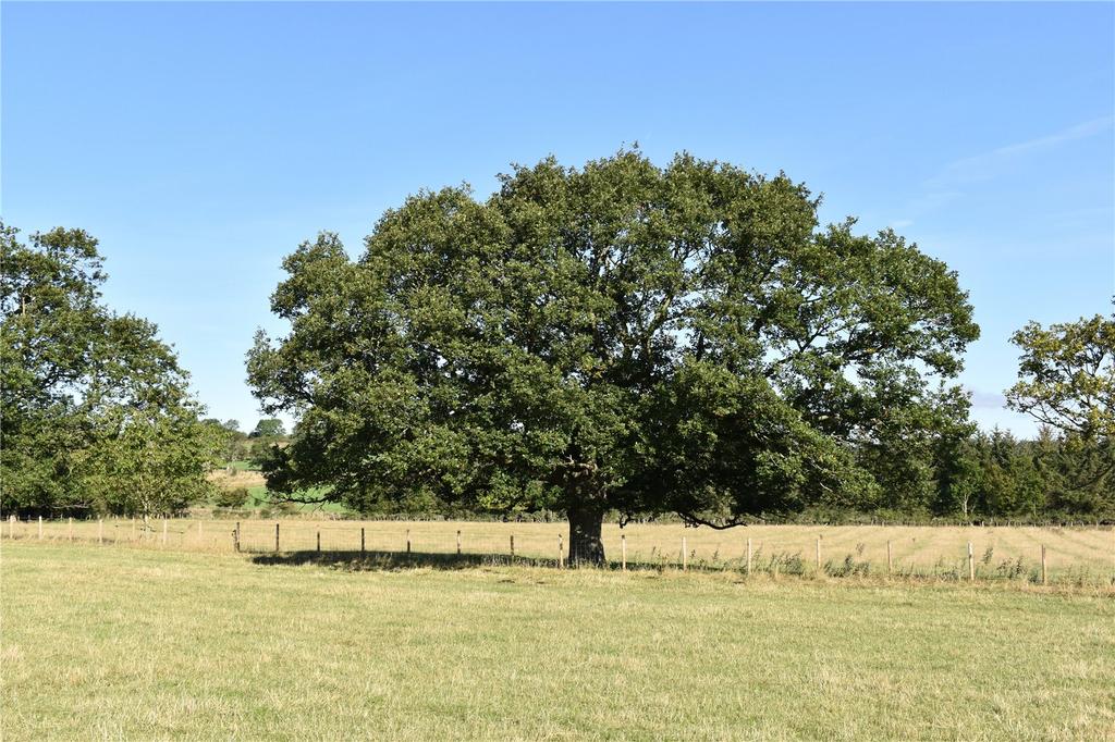 Juniper, Hexham, Northumberland, NE47 Land £230,000