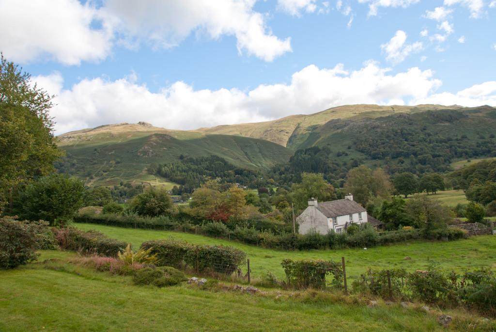 View from Garden