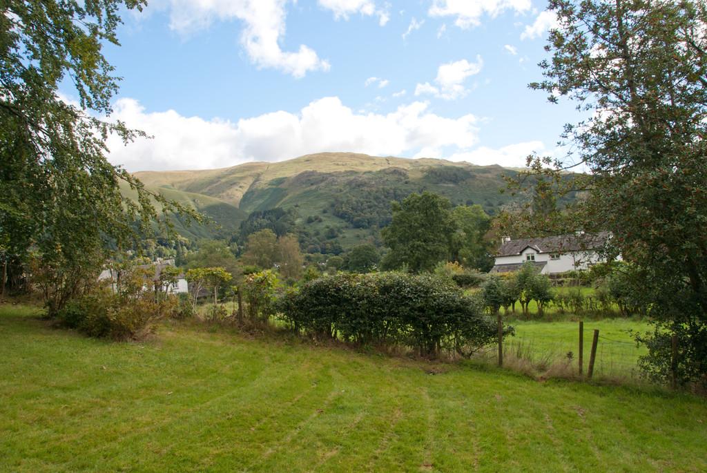 Garden and View