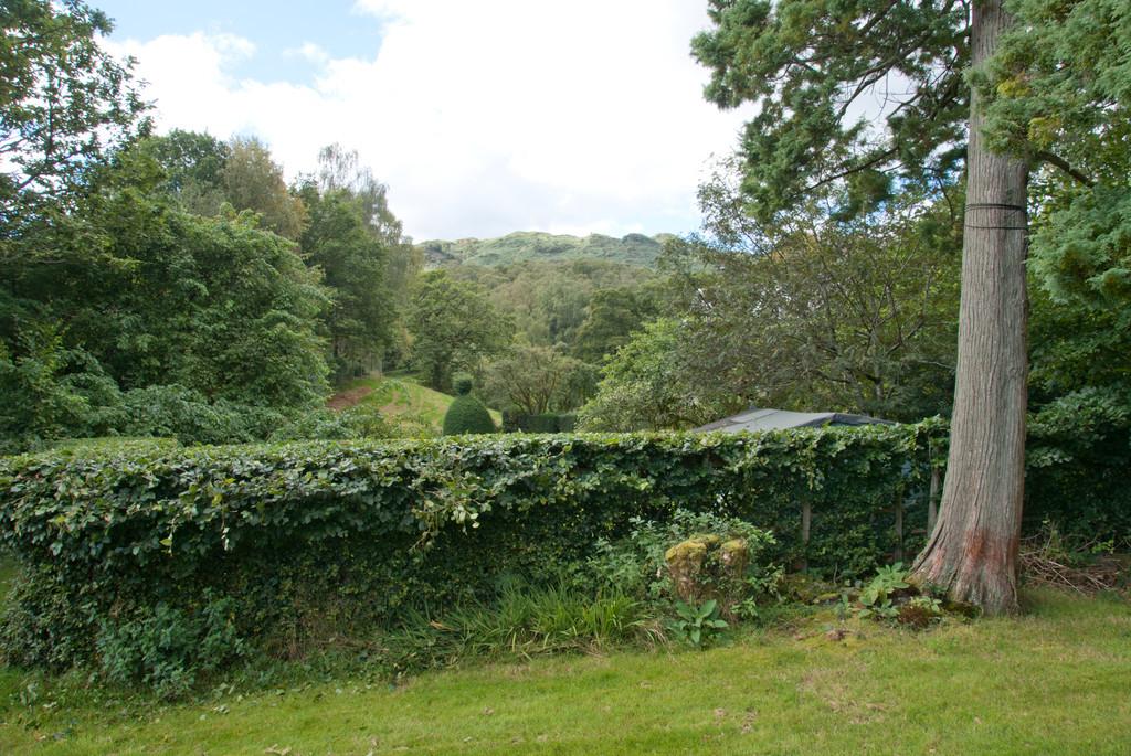 View from Garden