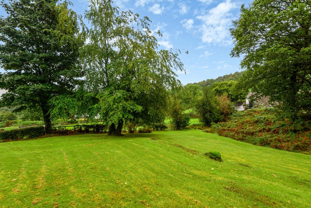 Garden and View