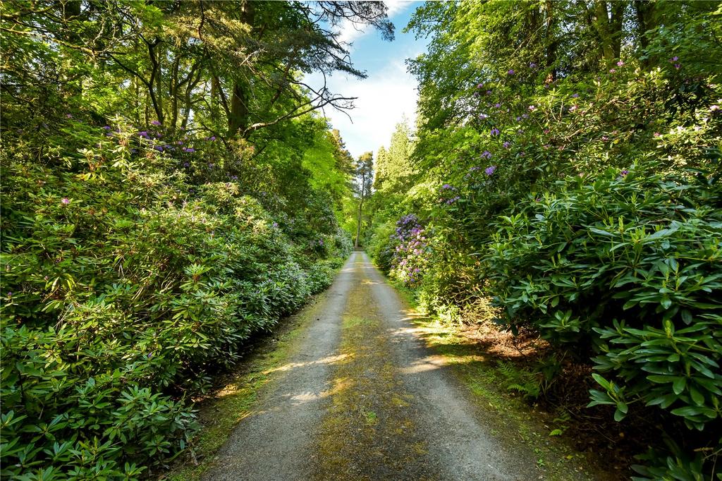 Front Driveway