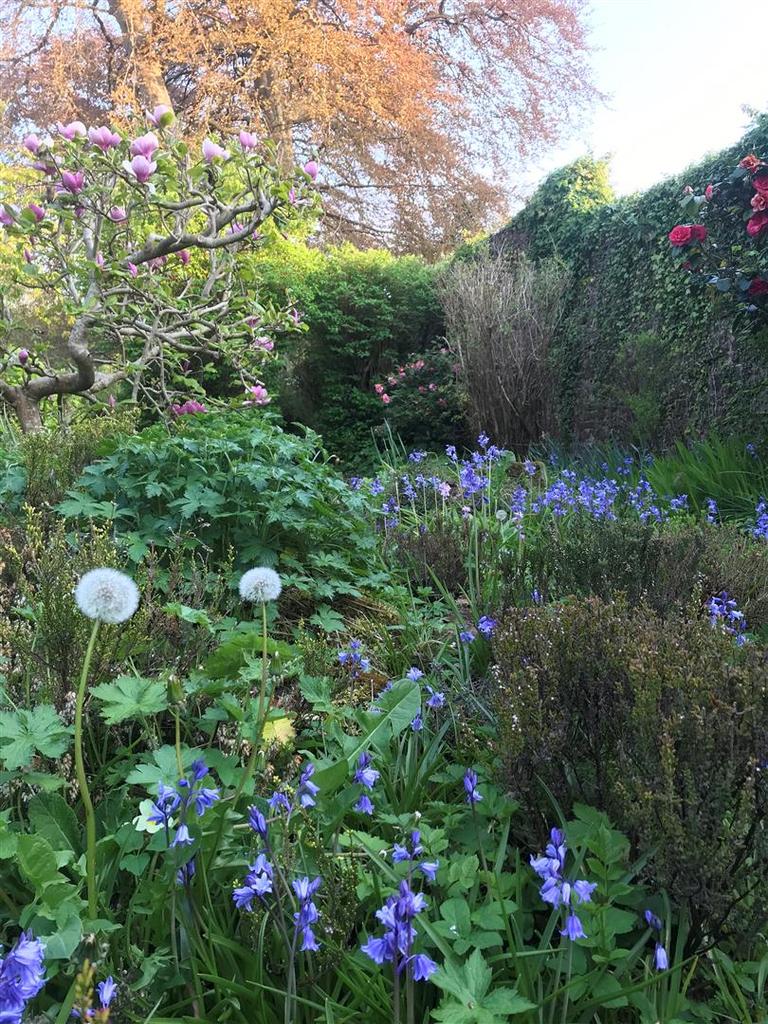 Walled garden in bloom.png