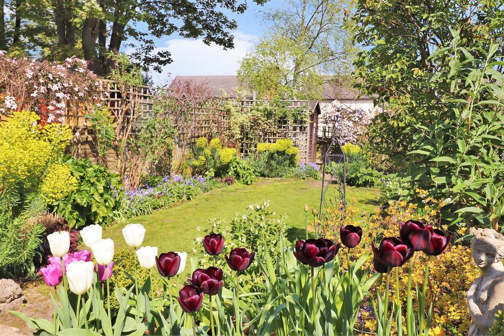 Rear Garden View 2