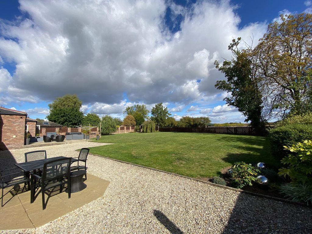 Garden at Back