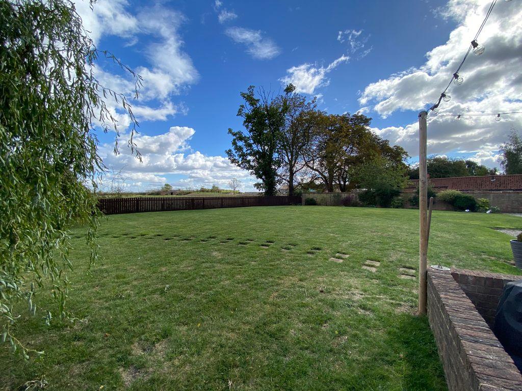 Garden at Back