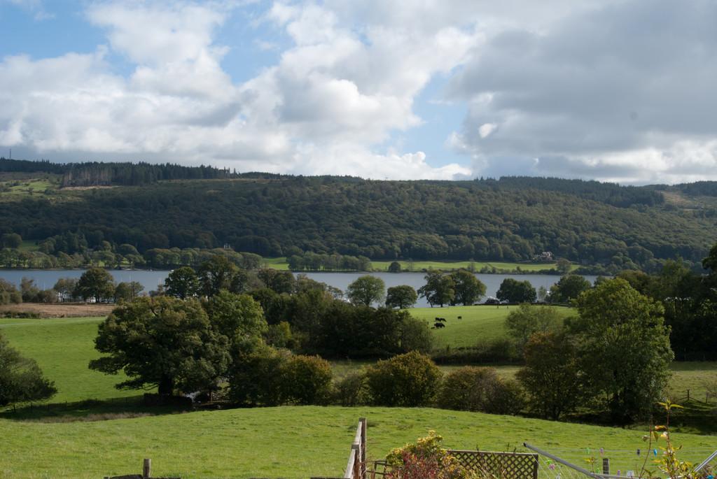 View from Bedroom