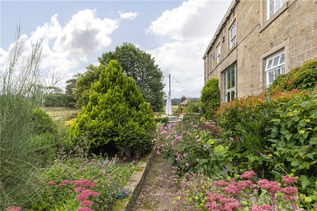 Rear Terrace