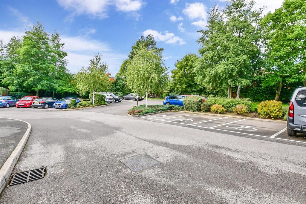 Driveway/Parking