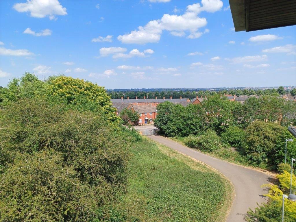 Open views