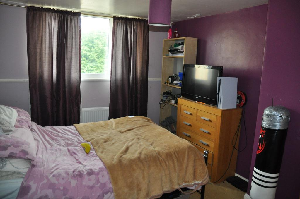 Photograph 5