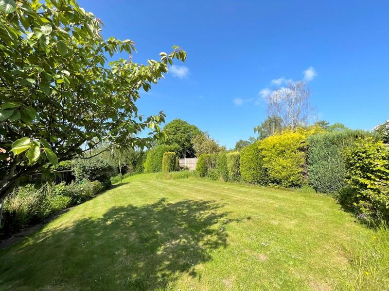 Garden 2.jpg