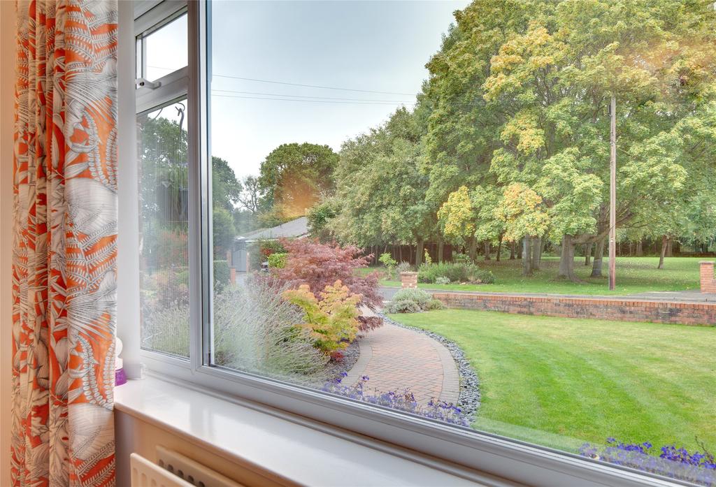 View From Window