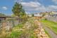 Garden at Back
