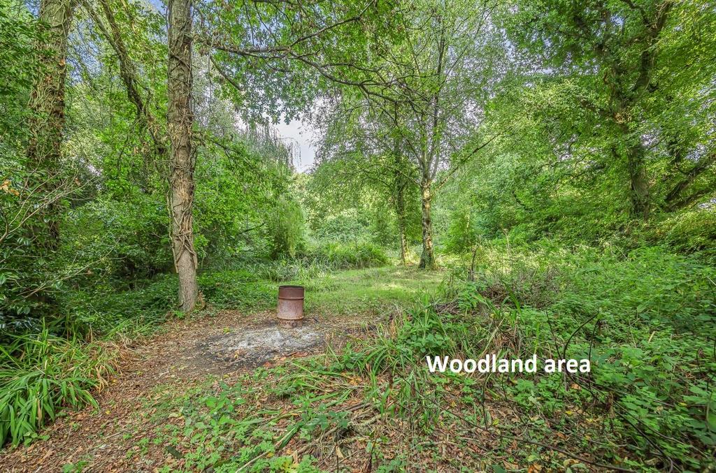 Woodland text.jpg