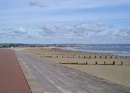 LOCAL BEACH.jpg