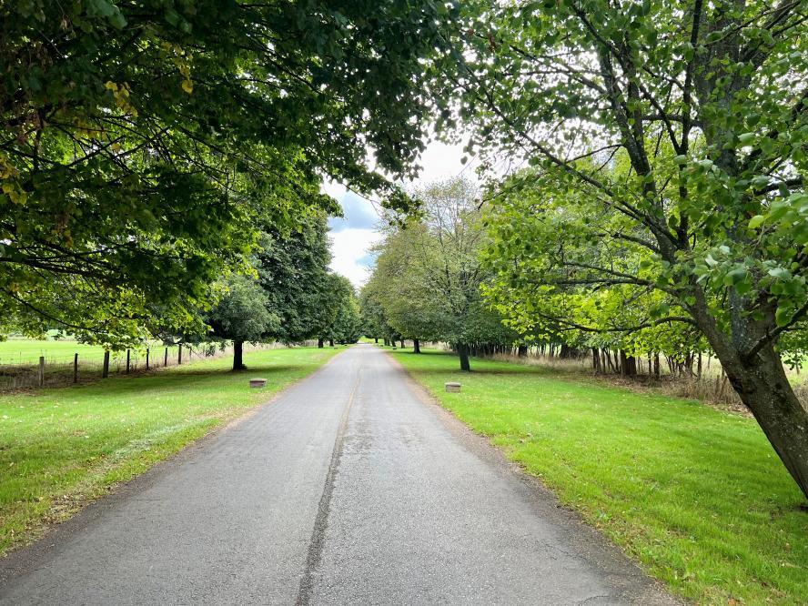 Driveway