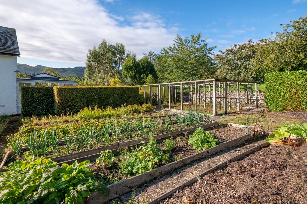 Vegetable Garden