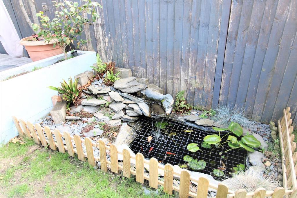 Pond
