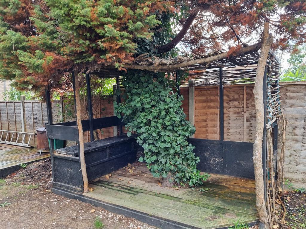 Back Garden