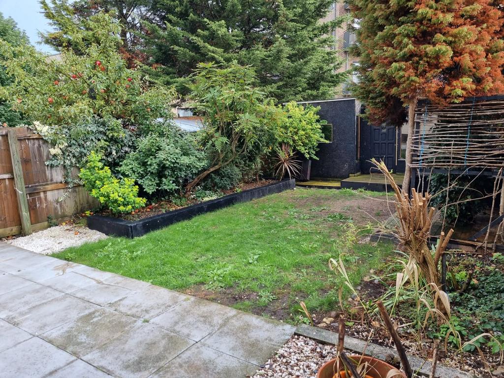 Back Garden