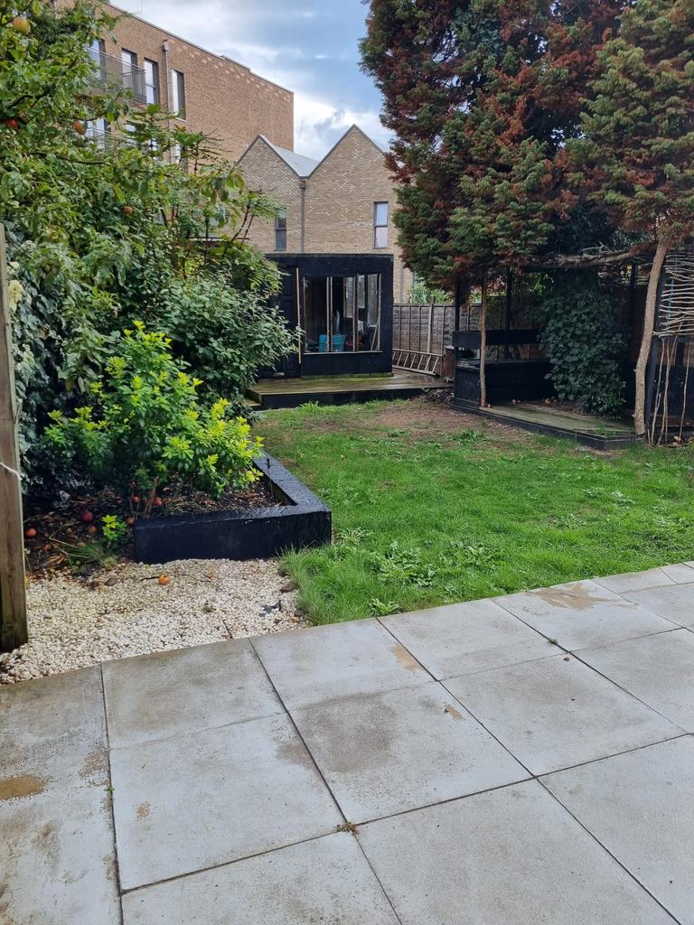 Back Garden