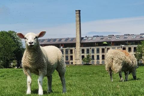 undefined, Horace Mill, Cononley, BD20