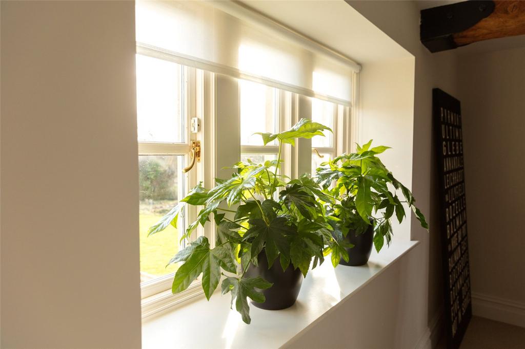Window