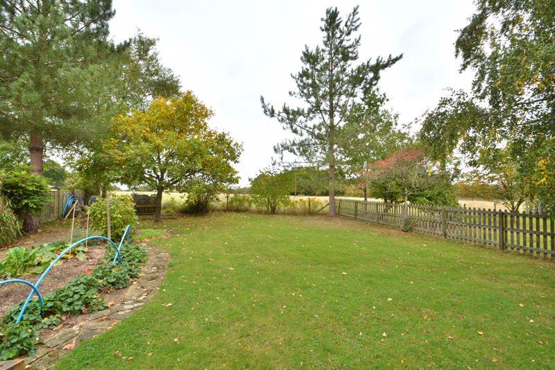 Rear part of garden