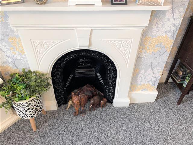 Feature Fireplace