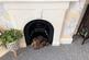 Feature Fireplace