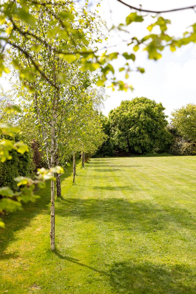 Tree Lined Gardens