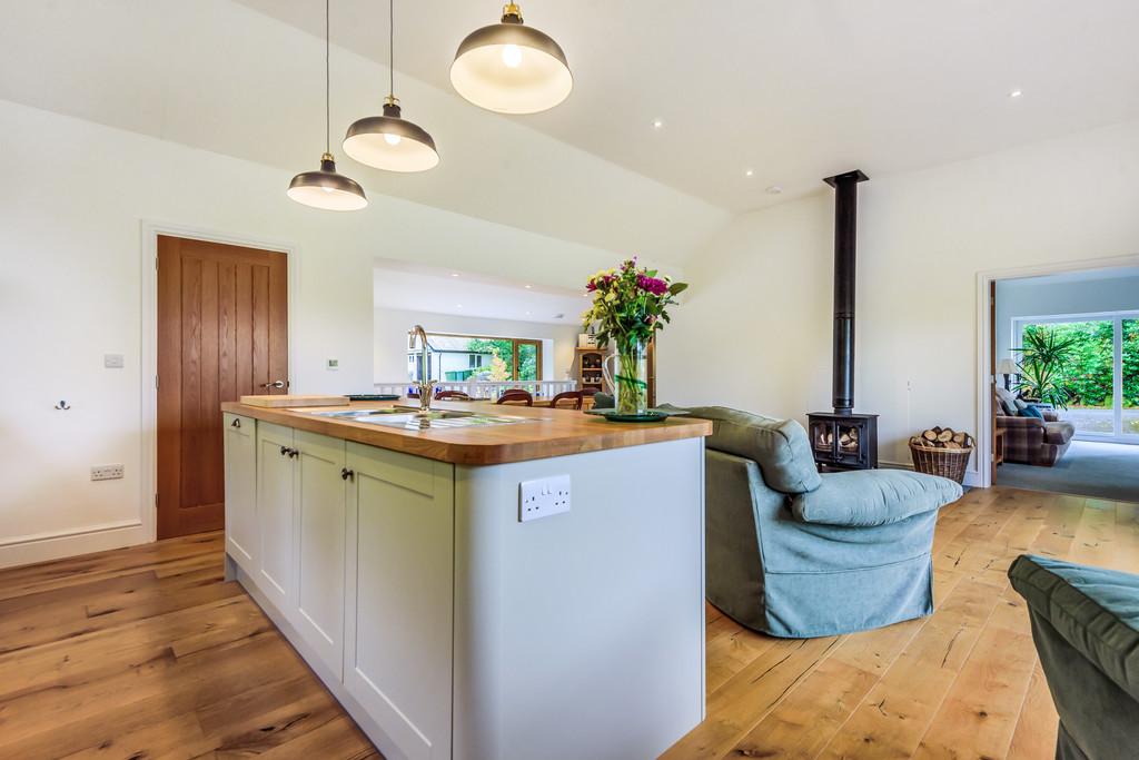 Living Room and Kitchen