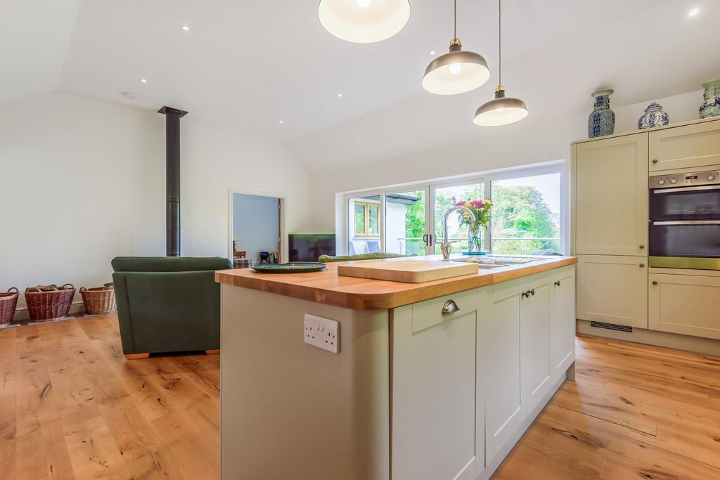 Living Room and Kitchen