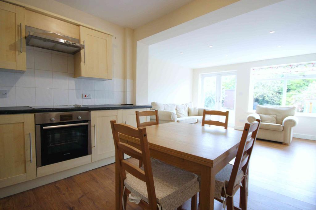 Kitchen/Living/Diner