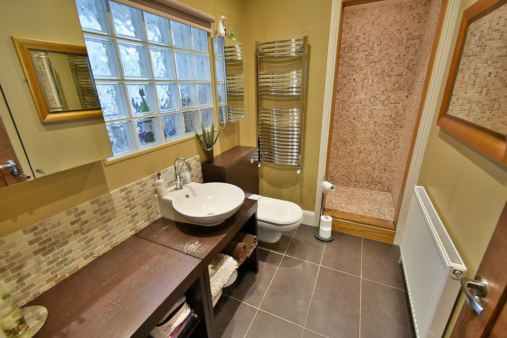 Cloakroom/shower roo