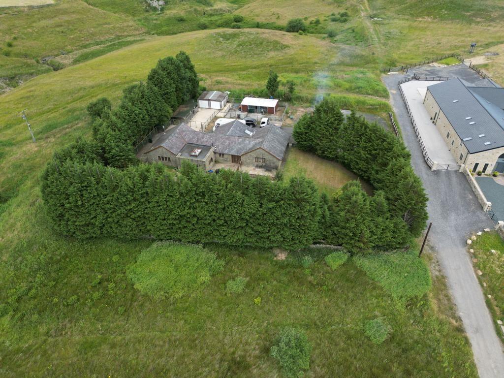 Aerial View of the Property